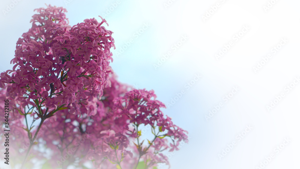 image to crop