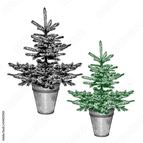 .A simple little Christmas tree in a galvanized bucket..A set of two images.Vector vintage illustration. Sketching isolated objects on a white background.