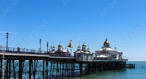 Eastbourne pier, and flying seagulls, landscape photo