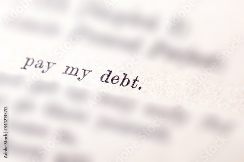 Pay my debt line in a book, printed word debt highlighted, selective focus, pointed out. Paying off debt reminder memo note, owing someone something abstract concept, nobody photo