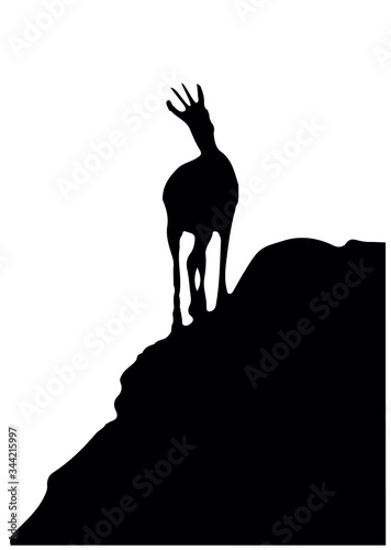 Black silhouette of chamois standing on the top of the hill. Isolated on white background. Vector illustration.