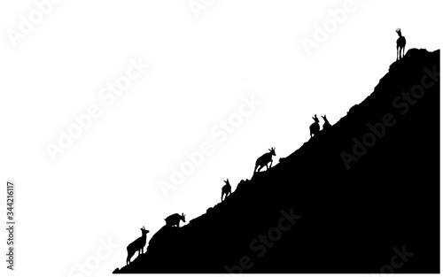 Black silhouettes of chamois climbing uphill isolated on white background. Vector illustration.