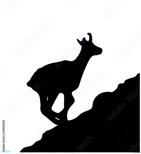 Black silhouette of chamois, jumping up the hill. Isolated on white background. Vector illustration.