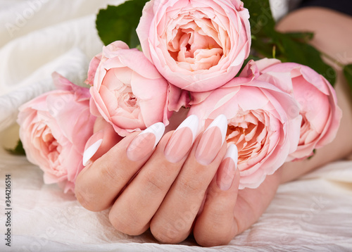Foto Hand with long artificial french manicured nails holding pink rose flowers