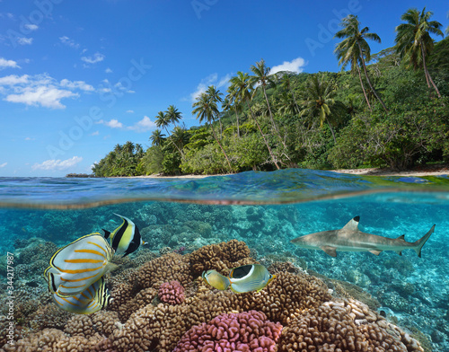 Canvas Print French Polynesia, coral reef with colorful fish underwater and tropical coast wi