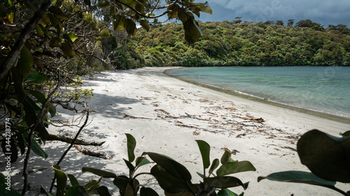 Remote beach with white sand partially framed by tree branches. Shot made on Stewart Island (Rakiura), New Zealand photo
