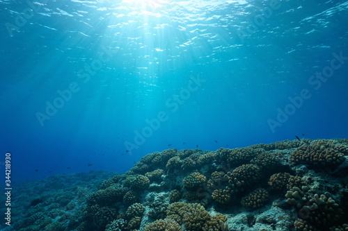 Underwater seascape  sunlight through water surface with coral reef on the ocean floor  natural scene  Pacific ocean  French Polynesia