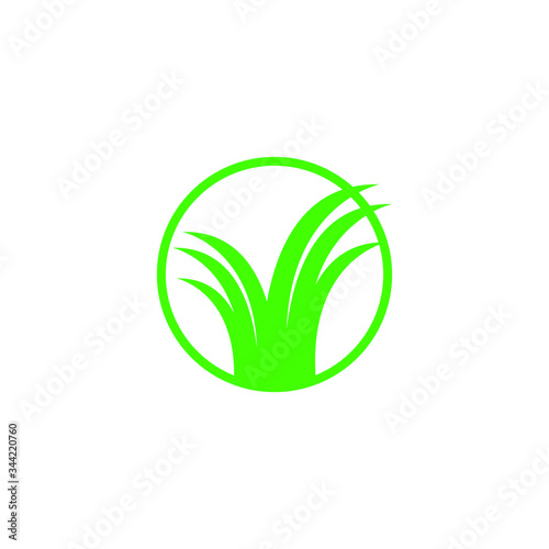the green color natural symbol isolated on white background. Eco symbol