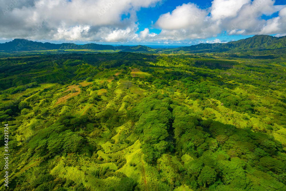 Beautiful Aerial View of Mountains and Forests in Kauai, Hawaii during clear summer weather with lush greenery 