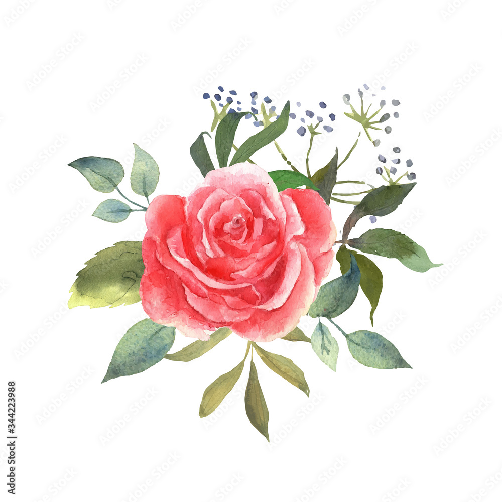 Floral watercolor set with pink rose. Botanical arrangements with flower and leaves. Great for printing on fabric, banners, invitations and cards. Vector.