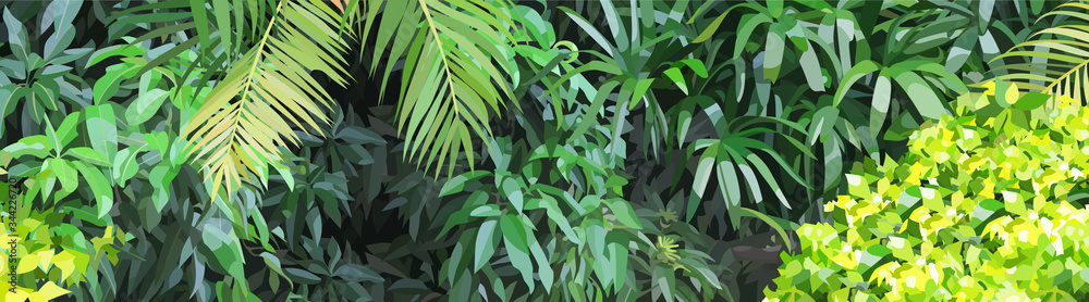 Panoramic background of dense green vegetation in the jungle - obrazy, fototapety, plakaty 