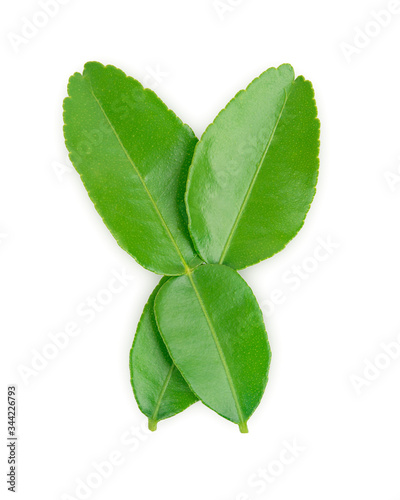 Green leaf, Bergamot  Leaf  (kaffir lime) isolated on white background