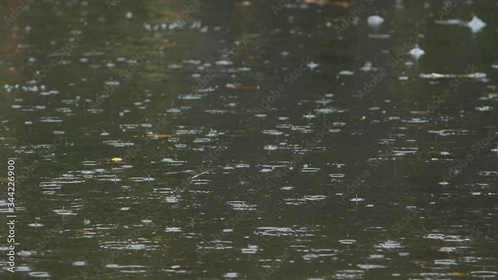 rain on the rever