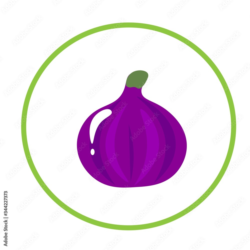 Summer fig  fresh ripe  tropical fruits for healthy lifestyle. Vector illustration cartoon  isolated on white.