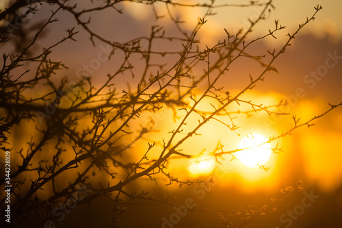 Landscape in morning sunrays