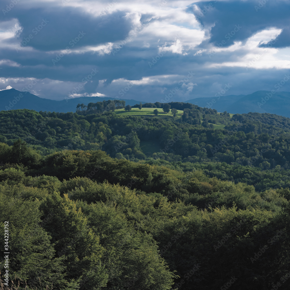 Fototapeta premium view of mountain landscape with clouds and trees in Pyrénées