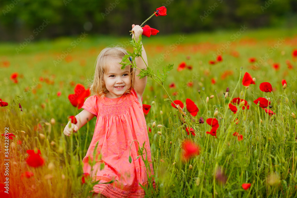 Beautiful child picking flowers in poppy field Beautiful child picking flowers in poppy field