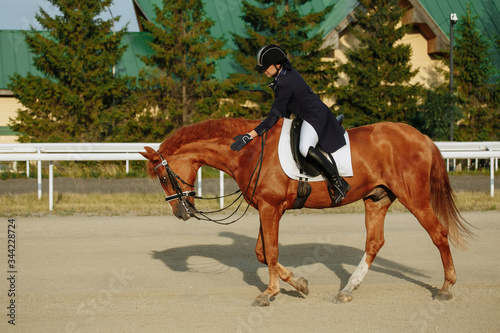 Young woman in special uniform and helmet riding horse. Equestrian sport - dressage.