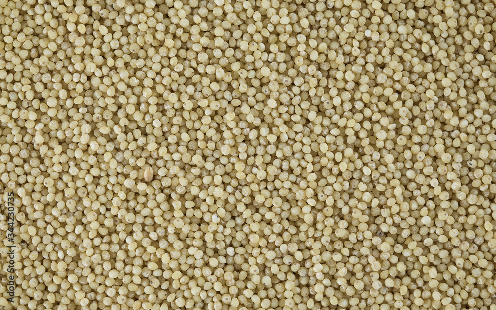 Pile of dried mustard seeds. Pile of dried mustard seeds.