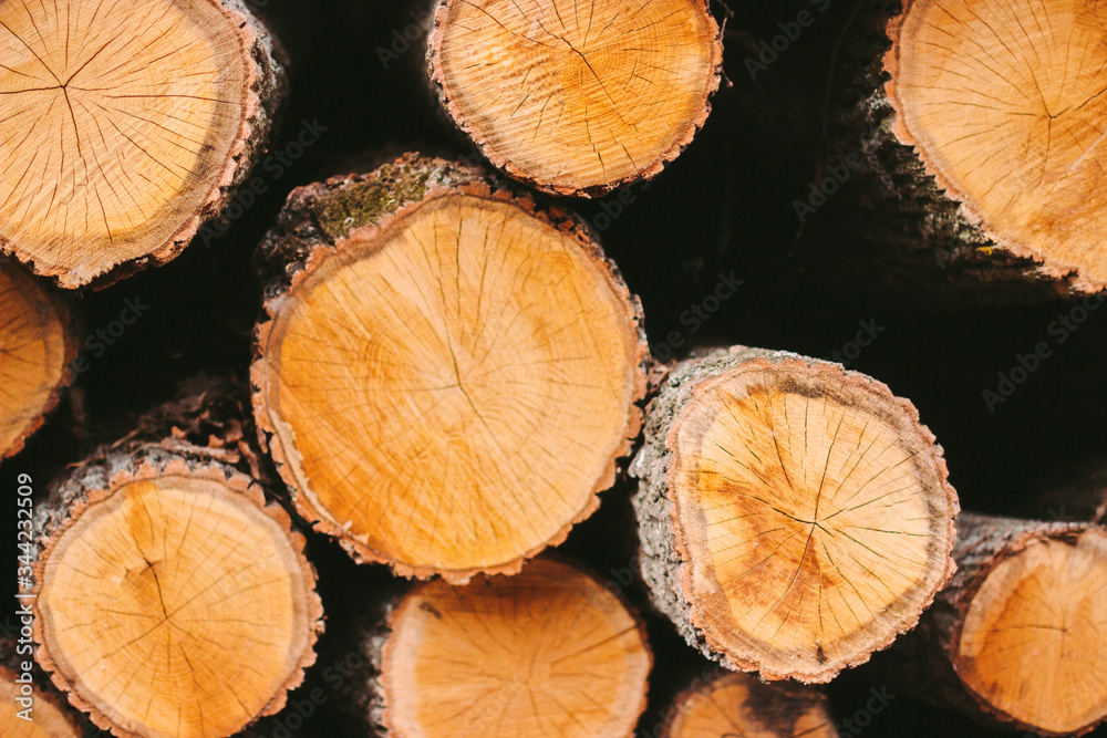 Closeup of abstract wooden background. Fresh cut pine logs at wood production factory. Woodpile of chopped tree trunks. Processing of timber material at sawmill. Lumber mill, forestry, wood storage Closeup of abstract wooden background. Fresh cut pine logs at wood production factory. Woodpile of chopped tree trunks. Processing of timber material at sawmill. Lumber mill, forestry, wood storage