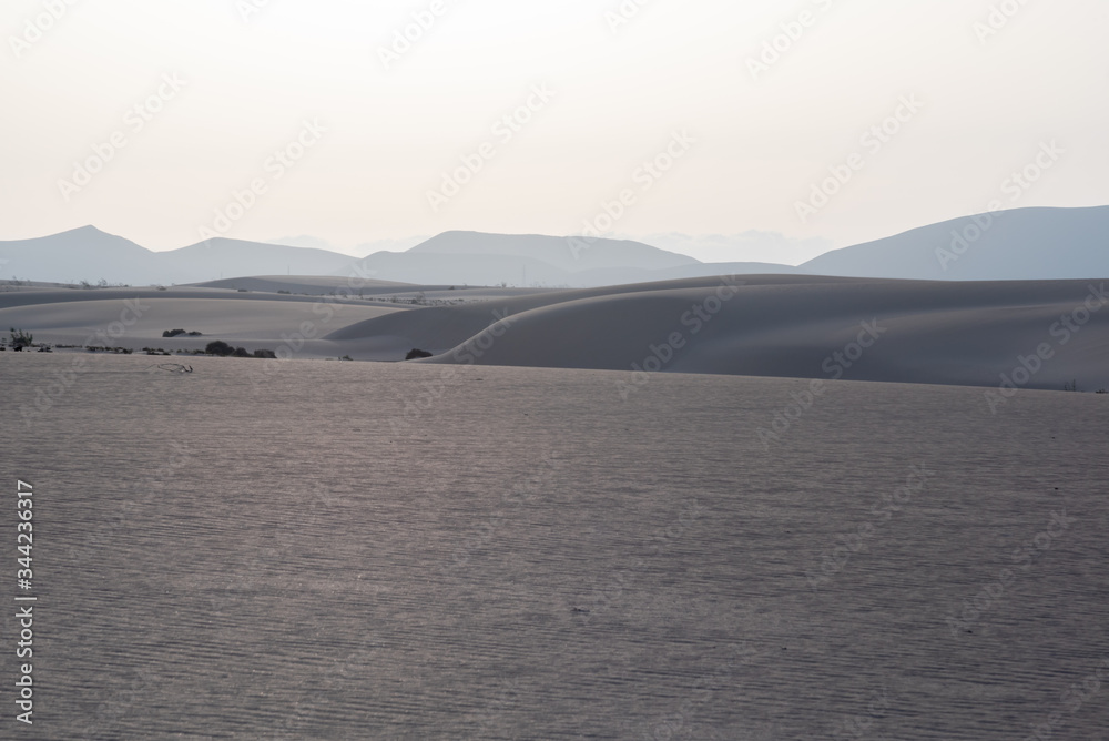 dunes in the Sand desert at sunset dunes in the Sand desert at sunset
