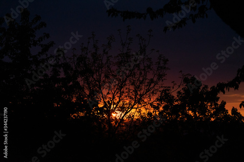 Sonnenuntergang mit Bäumen im Vordergrund 