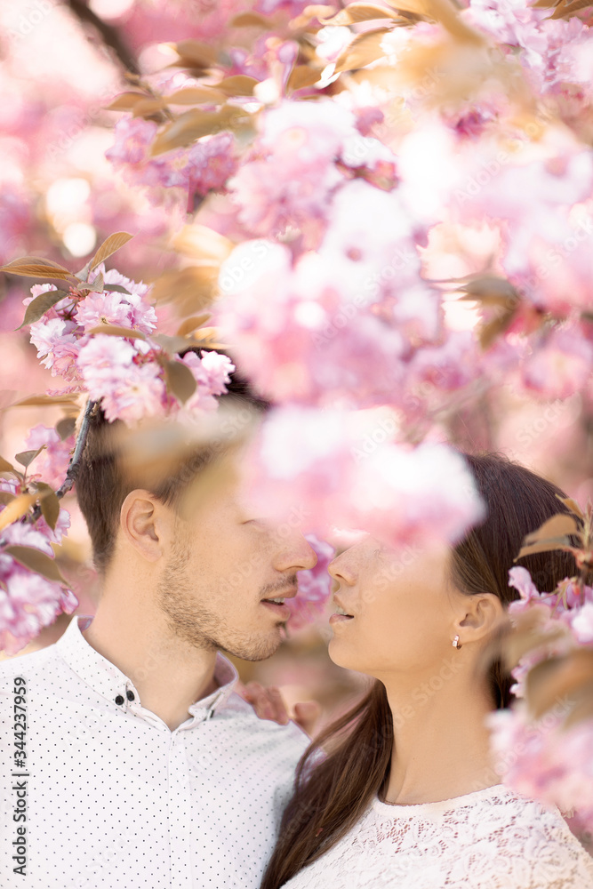 Obraz premium guy with a girl in sakura romance and love