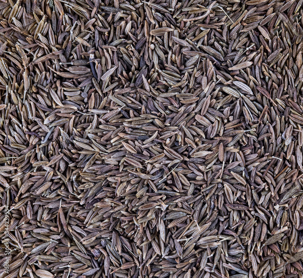 Close up of Dry caraway.