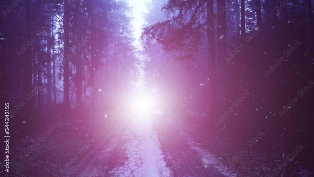Purple foggy forest with mystic fireflies and mysterious shining light in the end of the road.