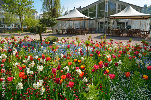 frühling im kurpark bad kreuznach photo