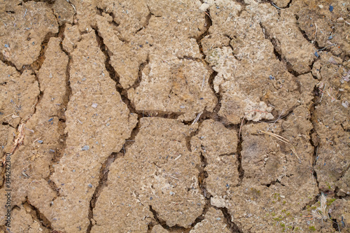 Dry, cracked earth. Cracks in dry soil, drought.