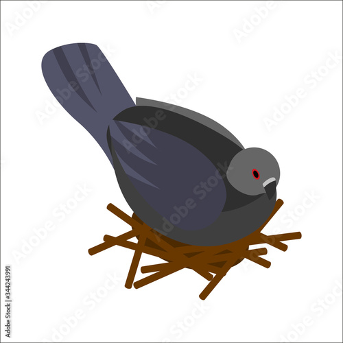 Isometric style icon.Dove in nest .Vector illustration Isolated on a white background.