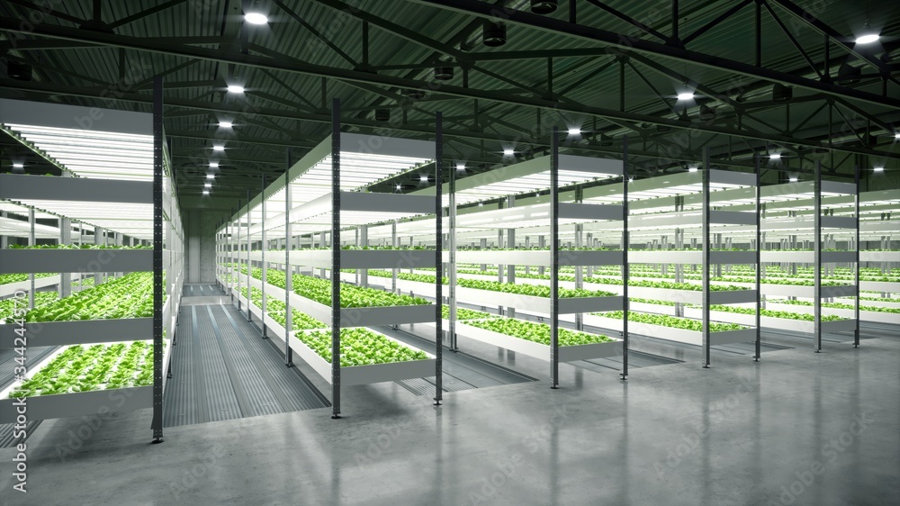 Indoor hydroponic vegetable plant factory in exhibition space warehouse
