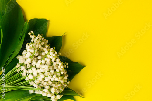 Lily of the Valley (Convallaria Majalis) isolated on yellow background