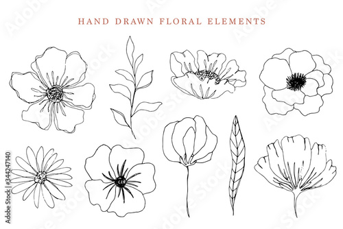 Hand drawn ink flowers and leaves sketches collection