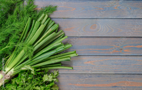 Fresh fragrant Culinary herbs on rustic background. Leaves of dill  chives  cilantro on dark wood table. Organic flavoring herbs and spices from farm market on wooden backdrop copy space. Vegan food.