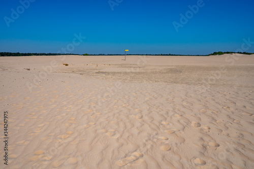 Desert nature landscapes in national park De Loonse en Drunense Duinen  North Brabant  Netherlands
