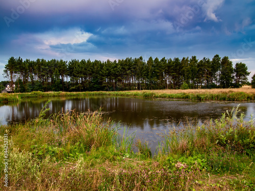 Fototapeta Naklejka Na Ścianę i Meble -  idyllic landscape front of lake