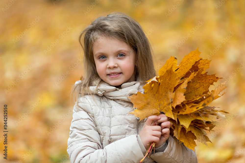 Pretty blonde little girl in the autumn forest holding autumn leaves. Fun in the fresh air in autumn. The teenager smiles happily. Pretty blonde little girl in the autumn forest holding autumn leaves. Fun in the fresh air in autumn. The teenager smiles happily.