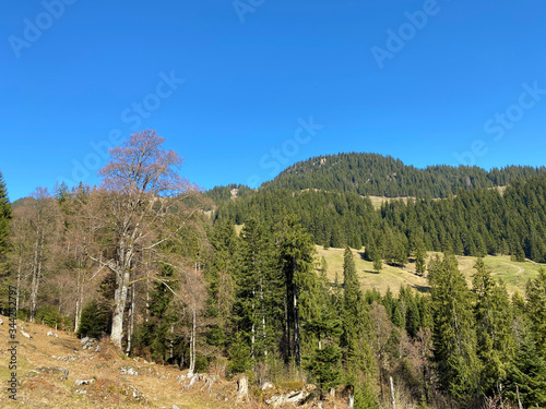 Alpine mountain hill Studberg over the Eigental valley, Eigenthal - Canton of Lucerne, Switzerland (Kanton Luzern, Schweiz) photo