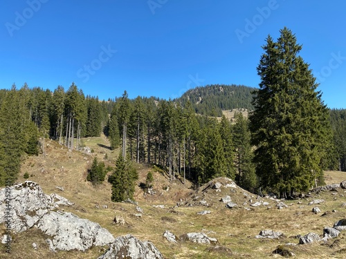 Alpine mountain hill Studberg over the Eigental valley, Eigenthal - Canton of Lucerne, Switzerland (Kanton Luzern, Schweiz) photo