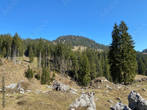 Alpine mountain hill Studberg over the Eigental valley, Eigenthal - Canton of Lucerne, Switzerland (Kanton Luzern, Schweiz) photo