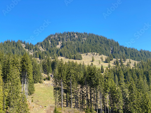 Alpine mountain hill Studberg over the Eigental valley, Eigenthal - Canton of Lucerne, Switzerland (Kanton Luzern, Schweiz) photo