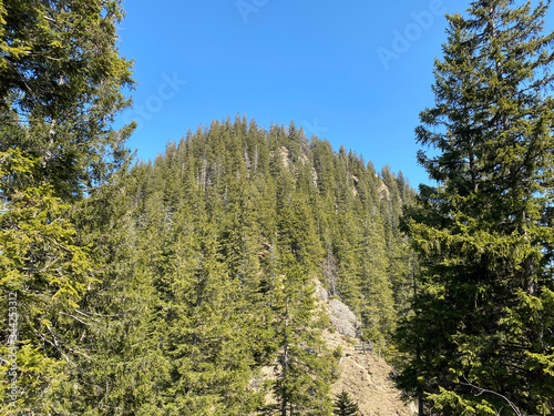 Alpine mountain hill Studberg over the Eigental valley, Eigenthal - Canton of Lucerne, Switzerland (Kanton Luzern, Schweiz) photo