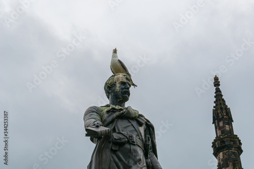 Detail of seagull laid over the head of the Livingstone statue, Edinburgh photo