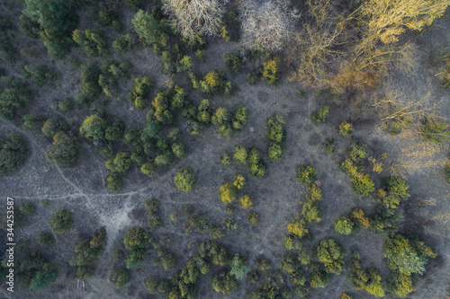 Aerial photography of a road in a forest