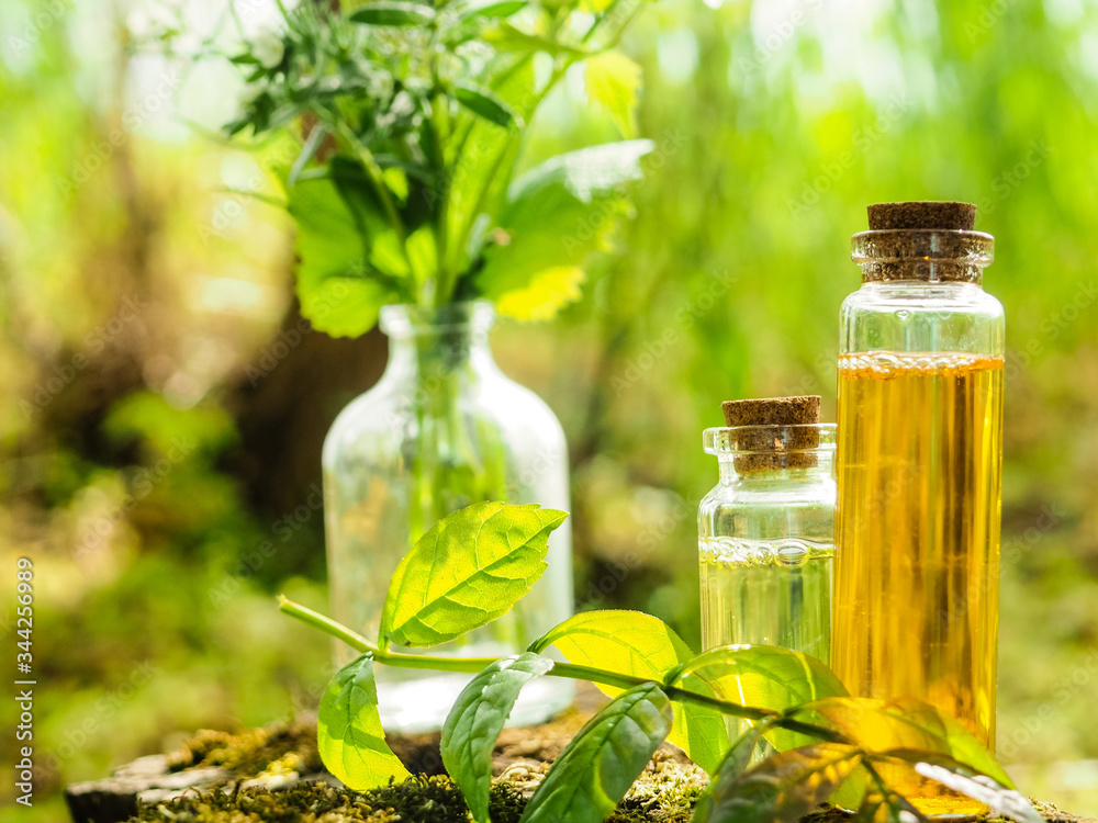 Organic bio alternative medicine, Herbal medicine., bottles of healthy essential oil or infusion and dry medicinal herbs Organic bio alternative medicine, Herbal medicine., bottles of healthy essential oil or infusion and dry medicinal herbs