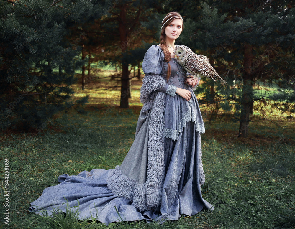 Fototapeta premium girl in historical dress with owl fantasy stile
