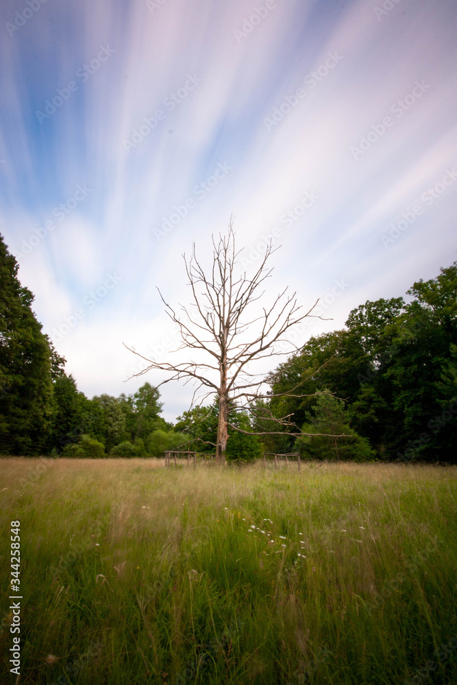 Long exposure photography of nature. Long exposure photography of nature.