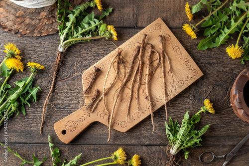 Fresh dandelion roots on a wooden cutting board, top view